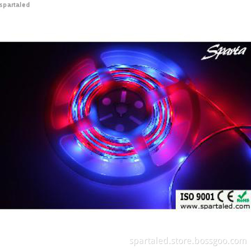 Flexible led Strip Light with 60 SMD 5050 leds